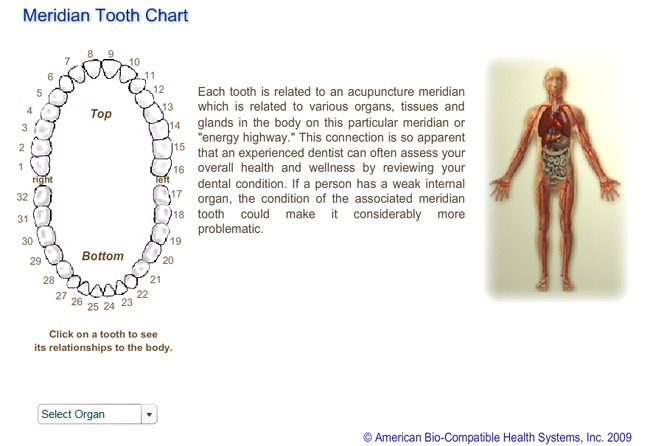 tooth-chart-screenshot